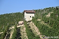 VBS_5769 - C'è un mare di velluto verde! E tu che sognavi di andare lontano... Quanta meraviglia, quì!